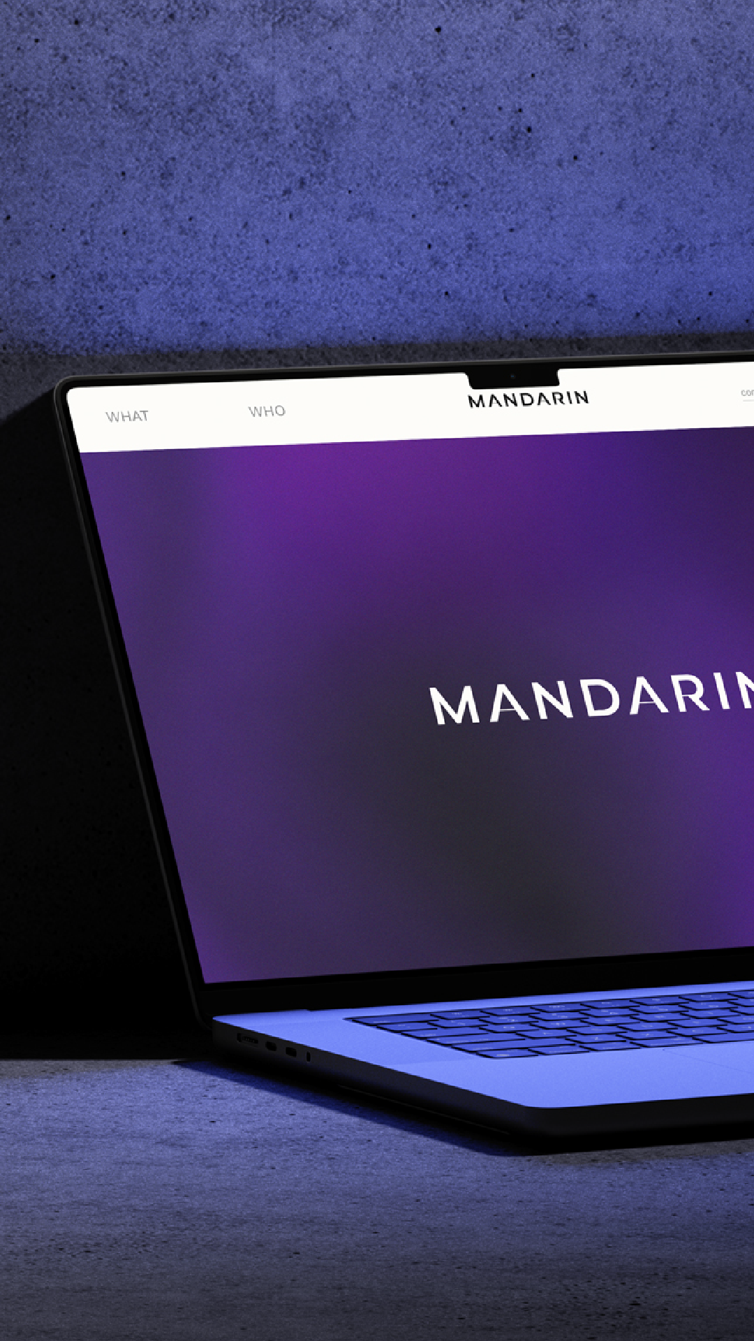 Portada proyecto web mandarin media