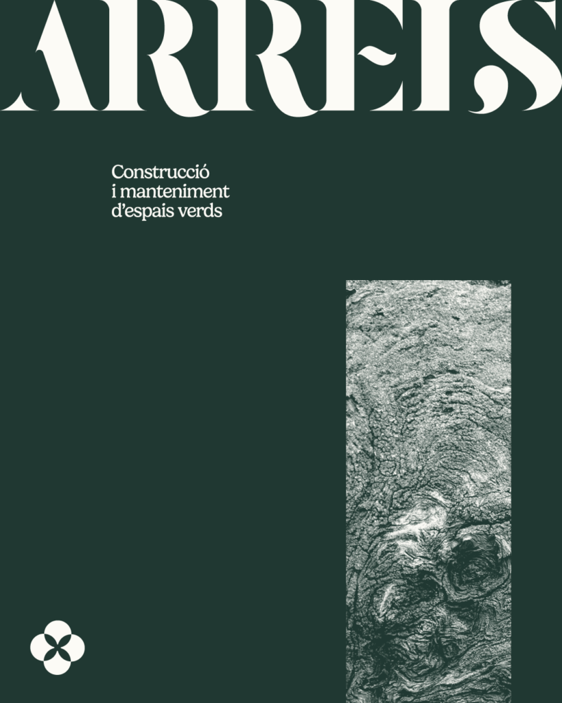 Arrels composició sobre fons verd