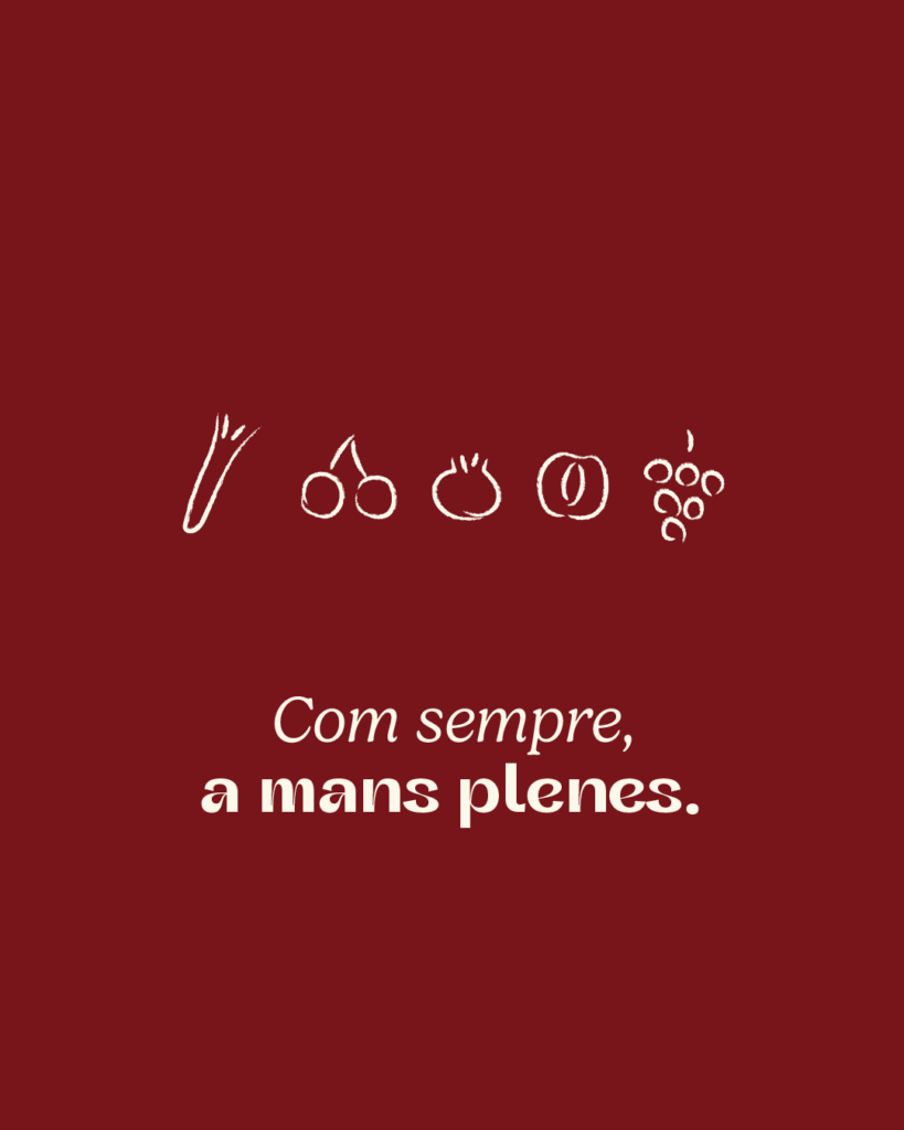 Imatge branding vinyes de la pallissa fruita